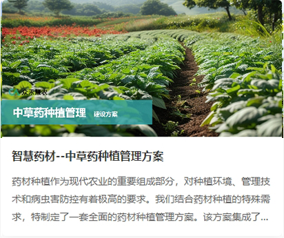中草药种植.jpg