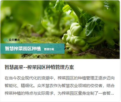 智慧榨菜.jpg