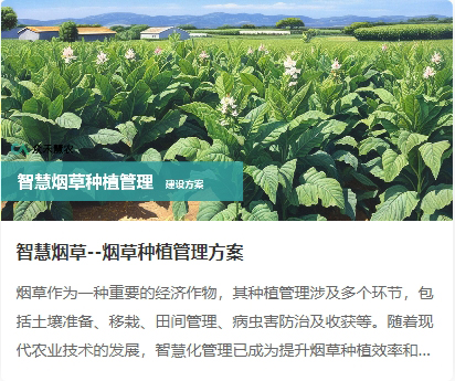 智慧烟草.jpg