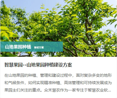 山地果园1.jpg