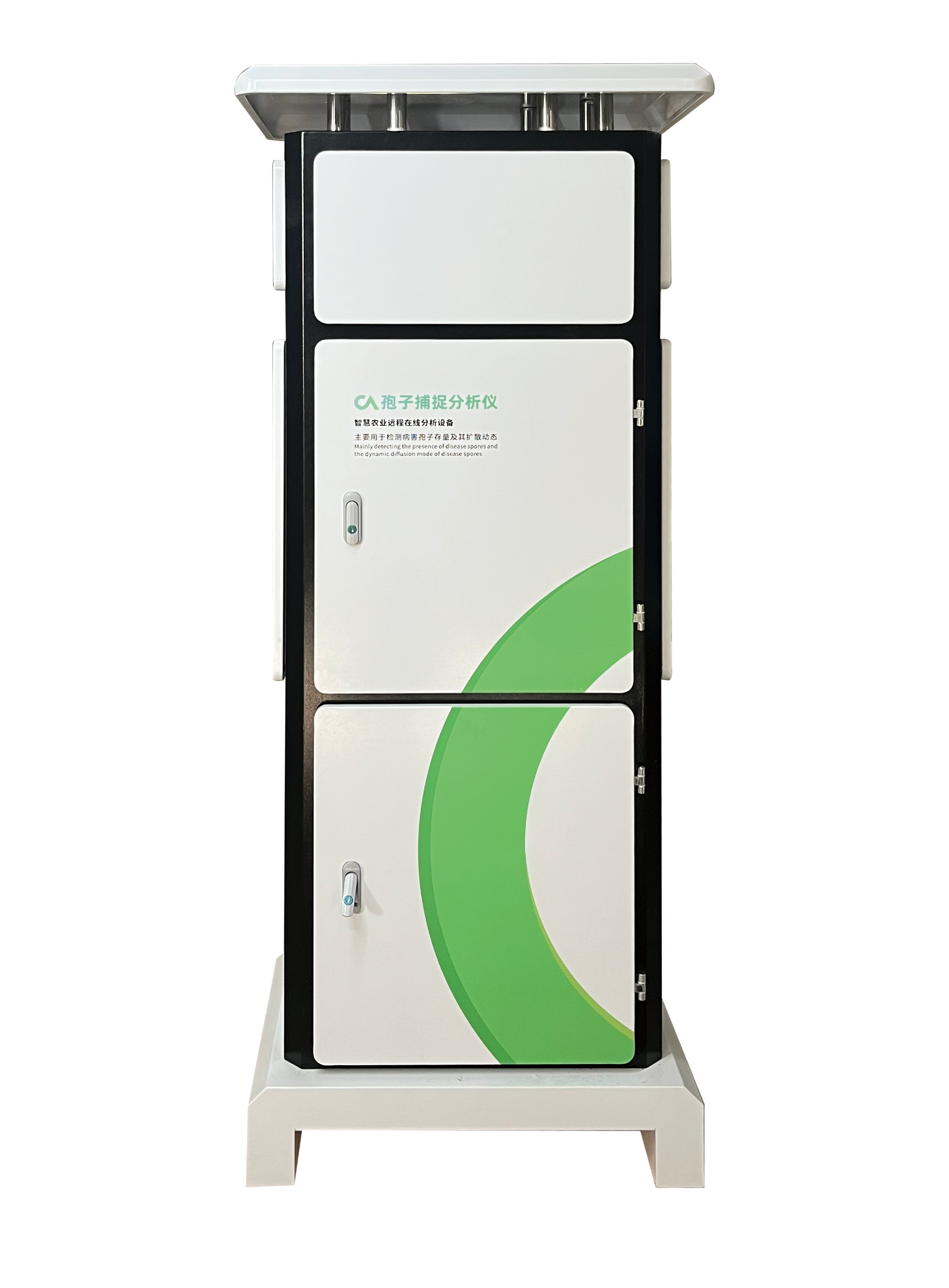 载玻片孢子_画板 1.png